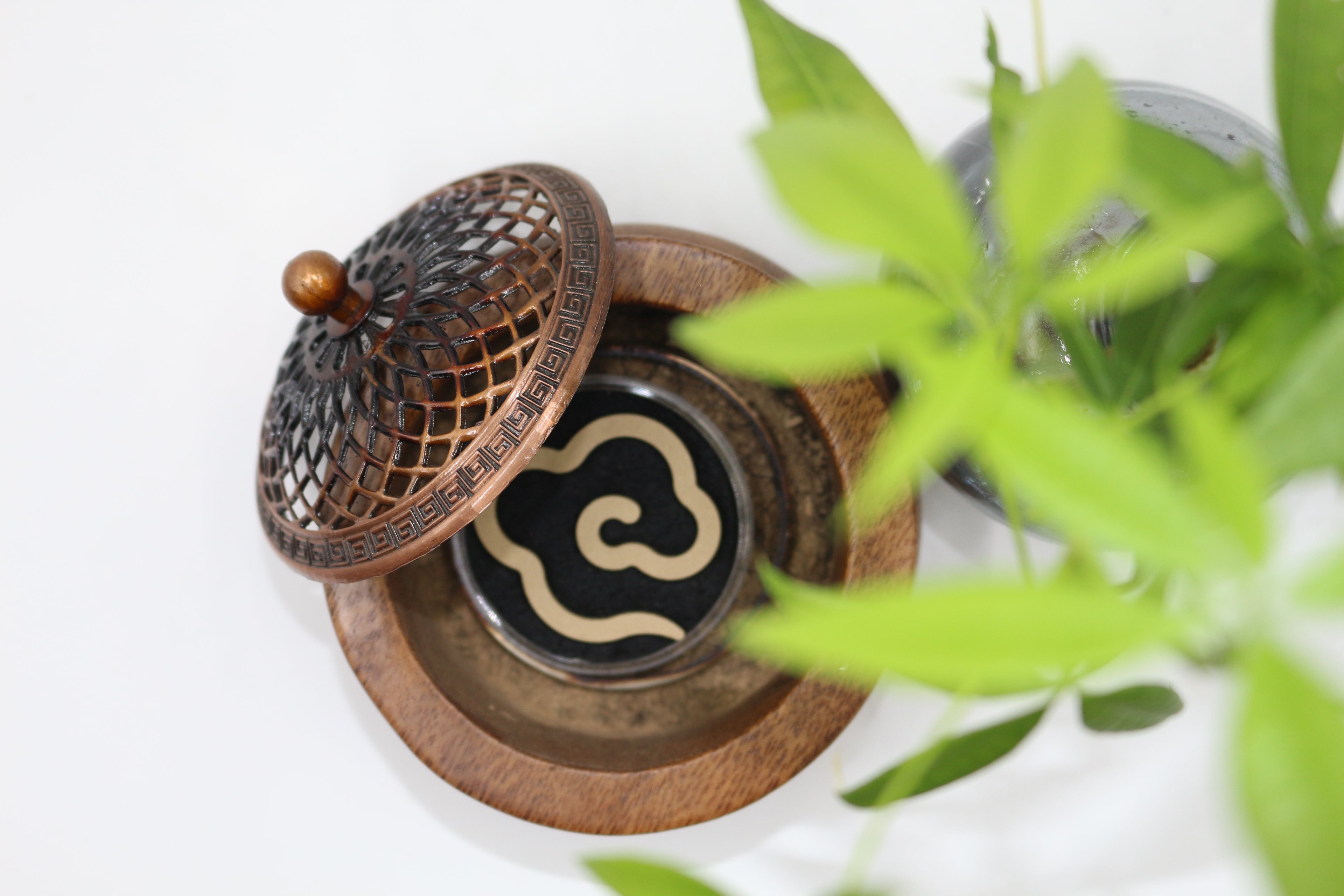 Agarwood with Auspicious Clouds